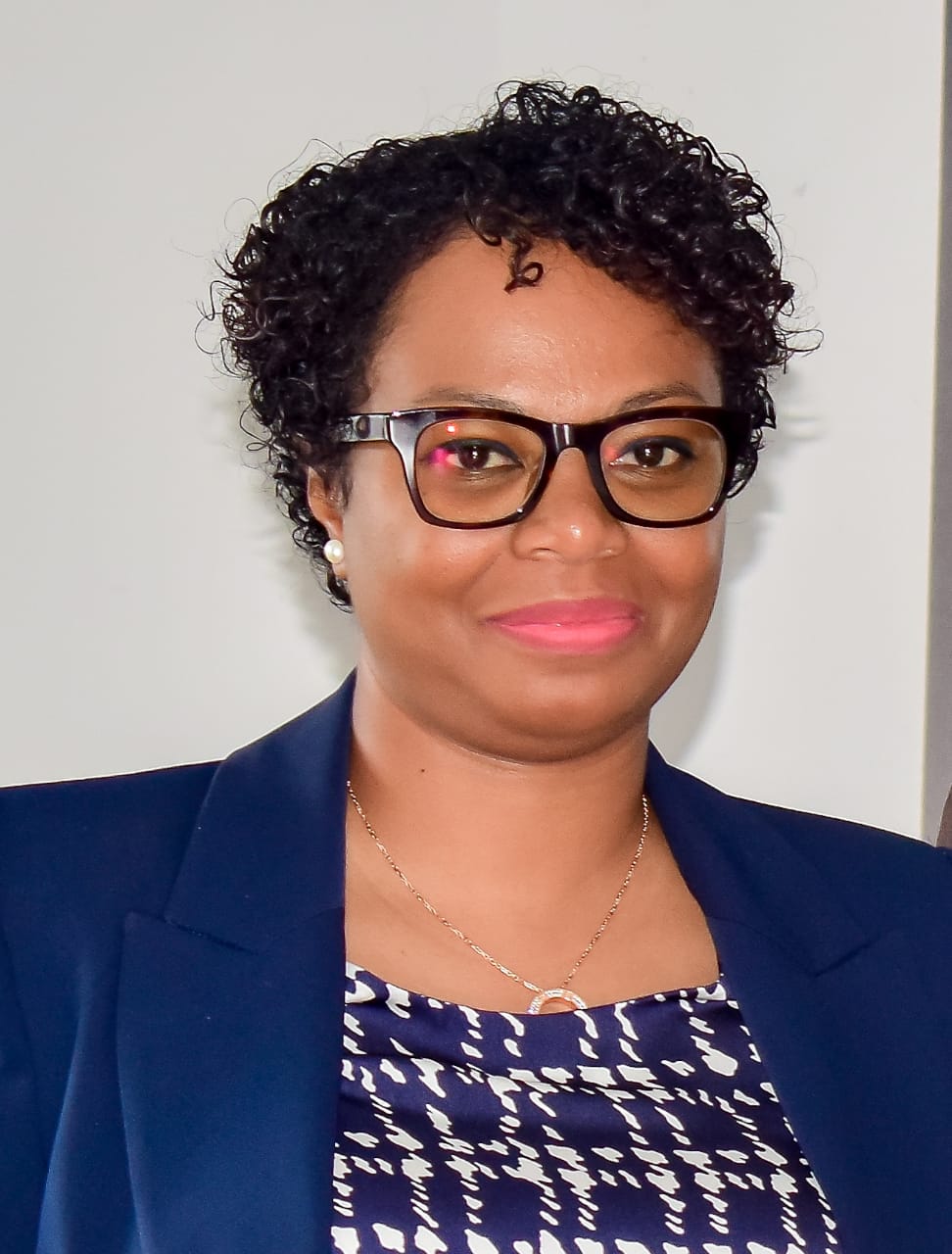 Directrice de la Recherche et de l’Innovation MESUPRES DRI